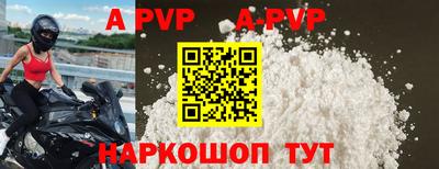 дживик Кингисепп
